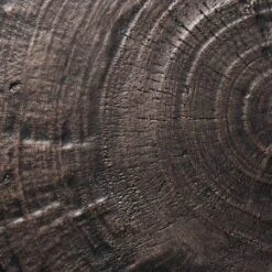 Grantsville Drum Accent Table Black - Threshold™ Designed With Studio McGee 10 Grantsville Drum Accent Table Black - Threshold™ Designed With Studio McGee -Living Room Furniture GUEST 2a48e59f 9a1e 4d95 a641 6710dbd36ebe